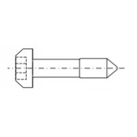 3688709, RITTAL Винт M2.5x11 невып. гекс. шлиц, 100 шт.